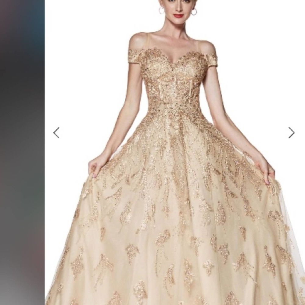 Cinderella Divine - KV1034 Beaded Lace Sweetheart Ballgown NWT size 4 Gold/Gold - Picture 5 of 15